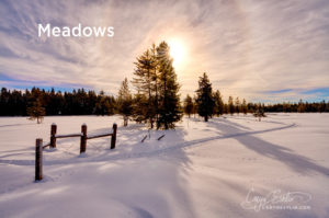 Open Meadows in Island Park, Idaho by Caryn Esplin