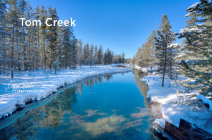 Tom Creek in Island Park, Idaho by Caryn Esplin