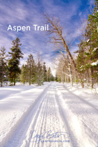 Aspen Trails in Island Park, Idaho by Caryn Esplin