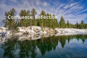 Confluence of Two RIvers: Reflection in Island Park, Idaho by Caryn Esplin