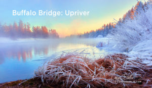 Buffalo River Bridge - Upriver View in Island Park, Idaho by Caryn Esplin