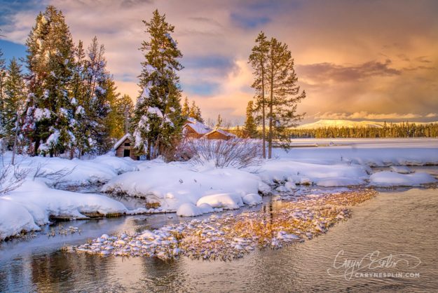 Winter Wonderland in Island Park, Idaho by Caryn Esplin
