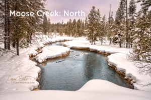 Moose Creek: North View in Island Park, Idaho by Caryn Esplin