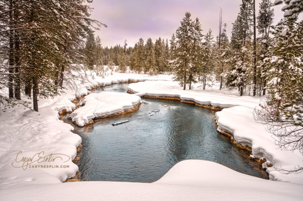 Moose Creek in Island Park, Idaho by Caryn Esplin