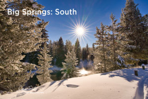 Big Springs: South View in Island Park, Idaho by Caryn Esplin