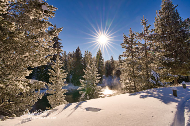 Sunny Winter Morning in Island Park, Idaho by Caryn Esplin