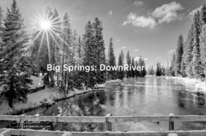 Big Springs Downriver in Island Park, Idaho by Caryn Esplin