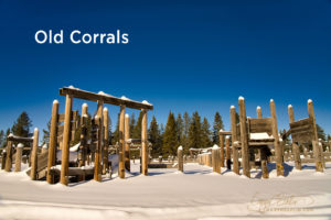 Old Corrals near Big Springs in Island Park, Idaho by Caryn Esplin